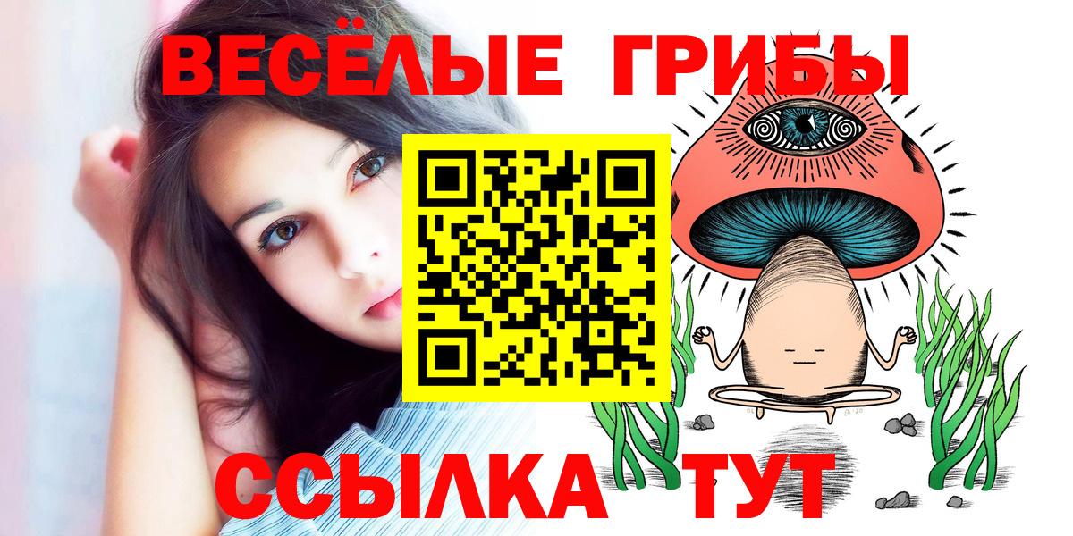 Галлюциногенные грибы Cubensis  Псилоцибиновые грибы Magic Shrooms  Вход с VPN  цена наркотик  Тара 