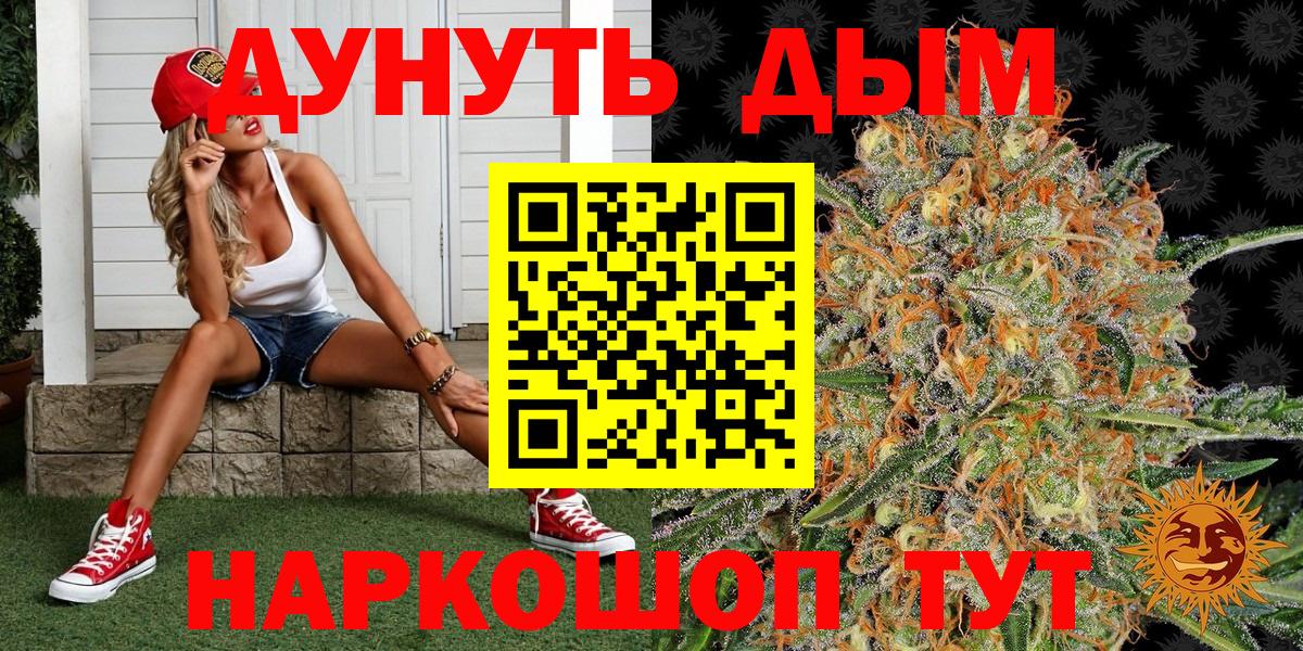 Бошки Шишки LSD WEED  Вход с VPN  Бошки Шишки тримм  Тара  Марихуана семена  МАРИХУАНА семена 