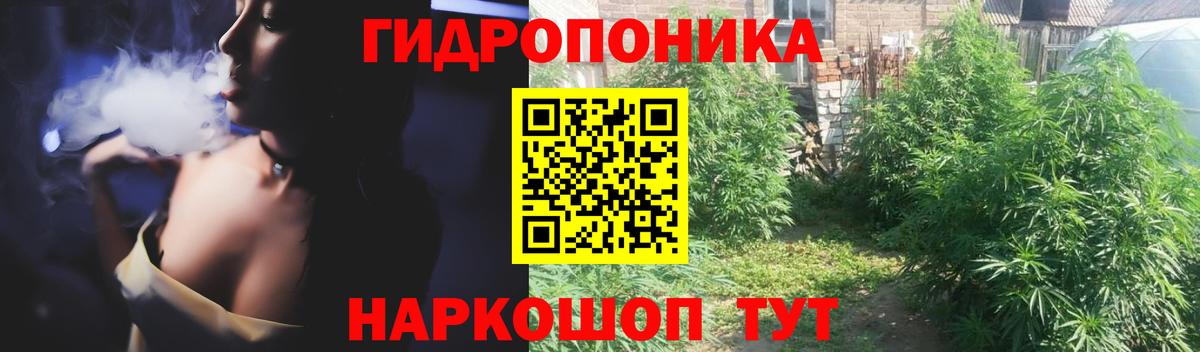 МАРИХУАНА индика Тара
